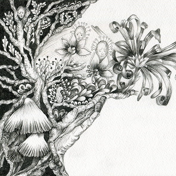 drawing, art, drawing of tree, drawing of trees, Nature drawing, nature art, drawing of nature, drawing of nature, tree drawing, tree art, drawing of trees, drawing of a tree, tree artist, artist that draws trees
